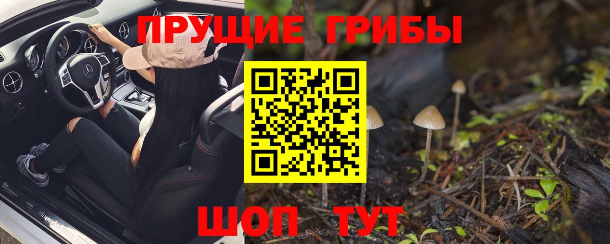 Вязьма  Псилоцибиновые грибы MAGIC MUSHROOMS  Вход с VPN  Галлюциногенные грибы прущие грибы 